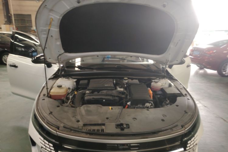 BYD Destroyer 05 2023 car image #22