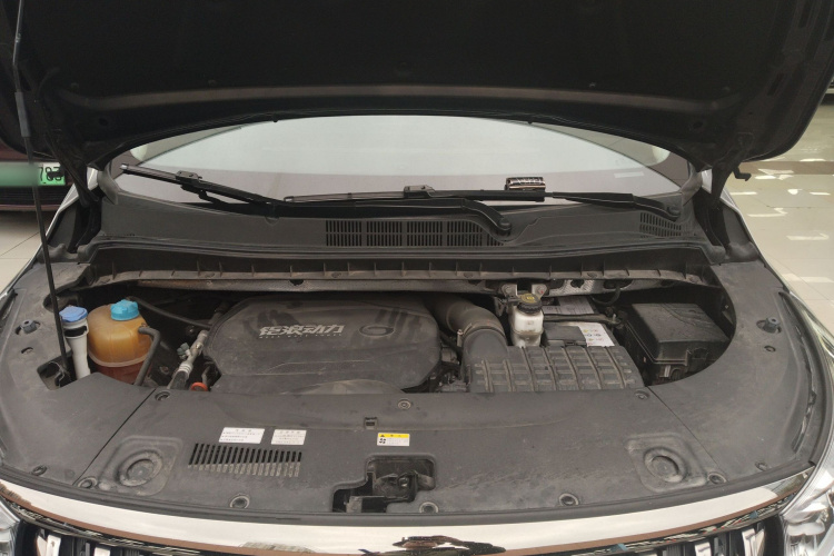 GAC Trumpchi M8 2021 car image #22