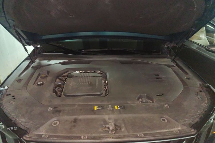 GAC Trumpchi GS8 2022 car image #22