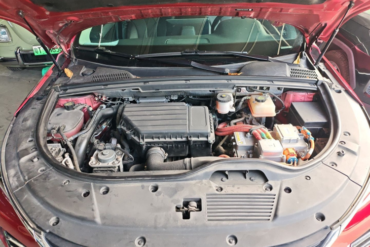 BYD Tang New Energy 2019 car image #22