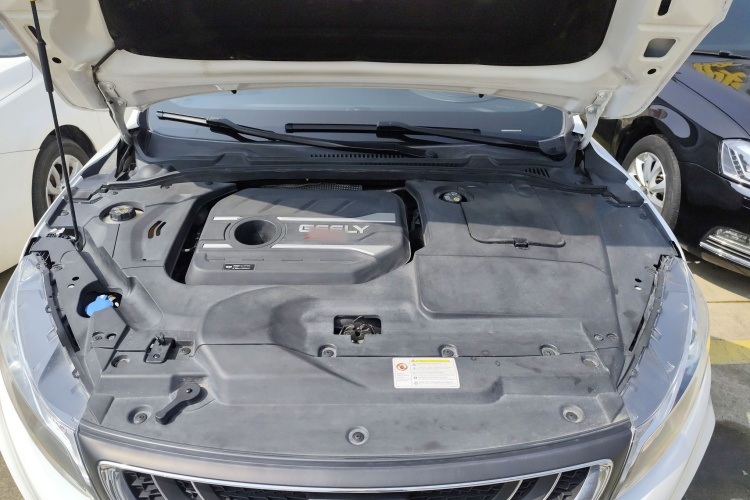 Emgrand GL 2019 #22 Emgrand GL 2019 car image #22