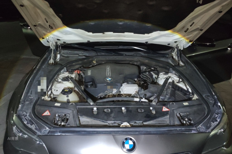 BMW 5 Series 2015 car image #22
