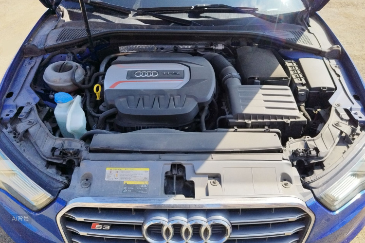 奥迪 奥迪S3 2017 汽车图片 #22