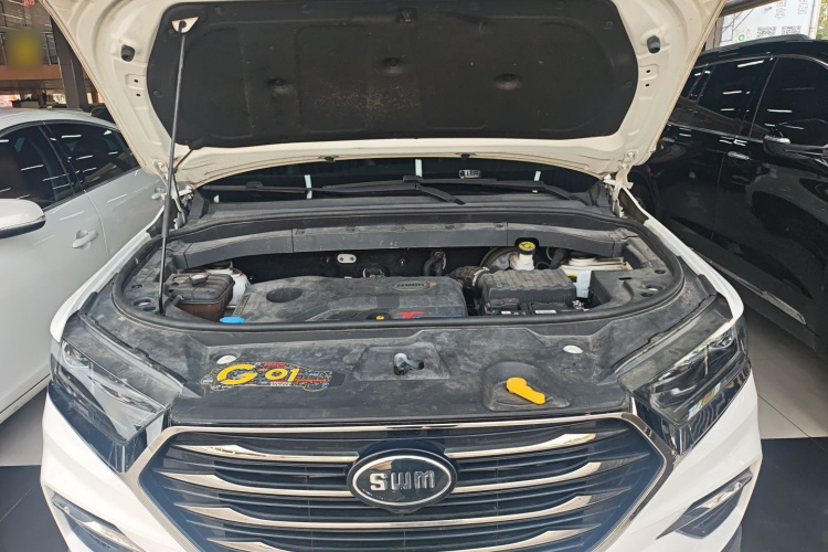 SWM G01 2020 image de voiture #22