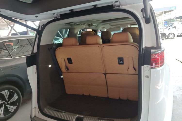 Denza D9 2023 imagem de carro #22