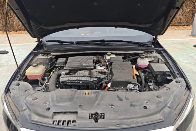 BYD Qin Plus 2023 car image #22