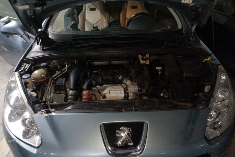 标致 标致308(进口) 2012 汽车图片 #22