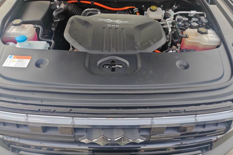 FangChengBao Leopard 5 2023 car image #22