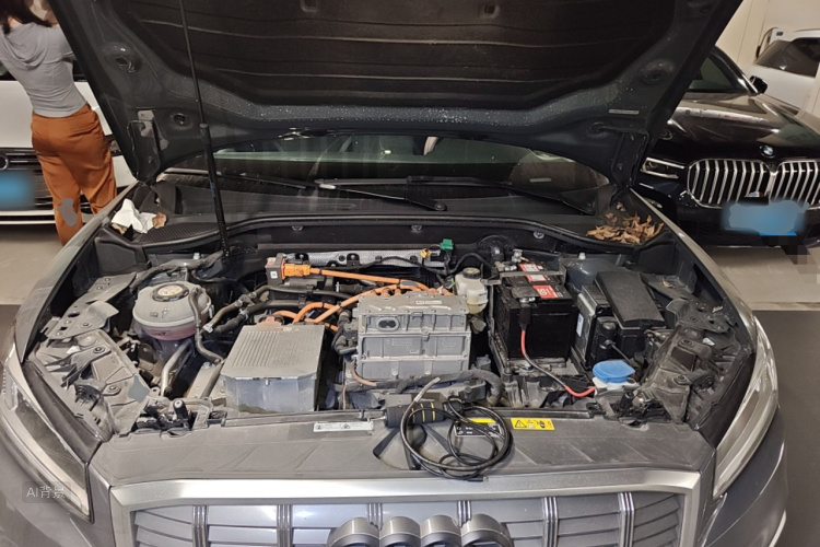 Q2L e-tron 2021 car image #22