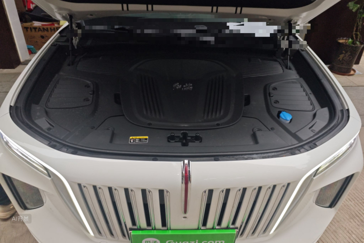 HongQi E-HS9 2026 изображение автомобиля #22