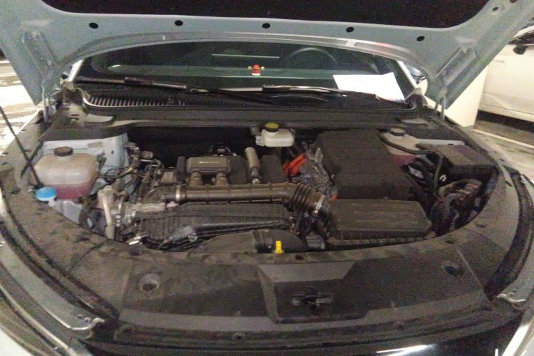 BYD Qin L 2024 car image #22