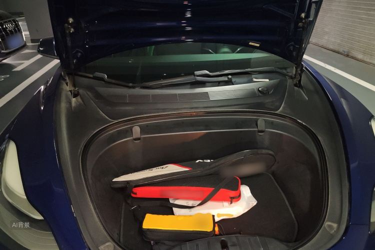 特斯拉 Model 3(进口) 2019 汽车图片 #22