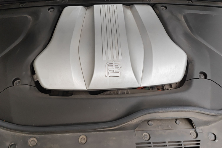 BYD Tang New Energy 2021 car image #22