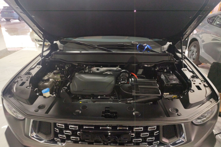 Haval X Dog 2 New Energy 2023 car image #22