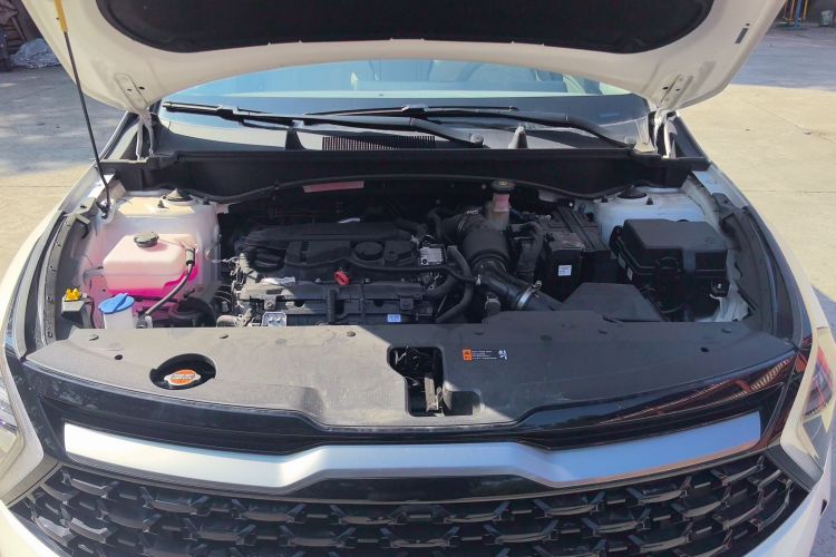 起亚 狮铂拓界 2026 汽车图片 #22