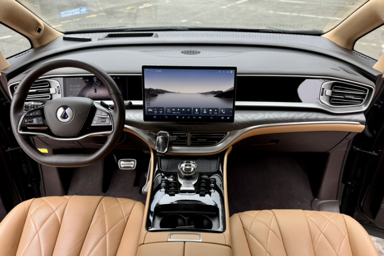 Denza D9 2025 изображение автомобиля #22