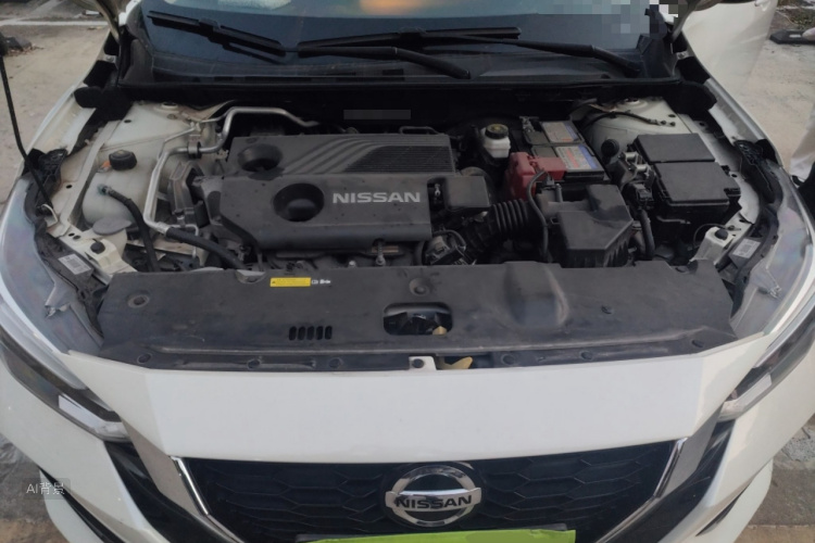 日产 轩逸 2020 汽车图片 #22