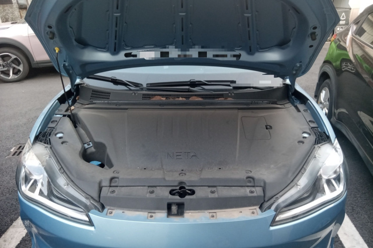 Neta V 2022 imagen de coche #22