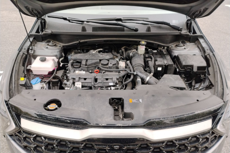 起亚 狮铂拓界 2025 汽车图片 #22