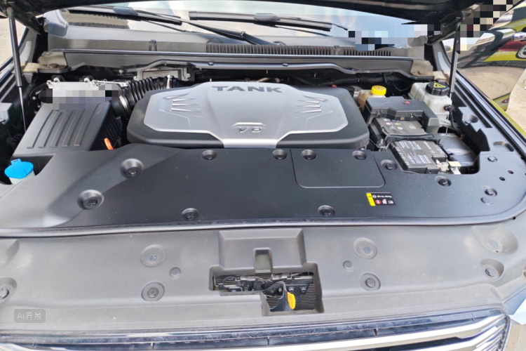 Tank 500 2023 immagine di auto #22