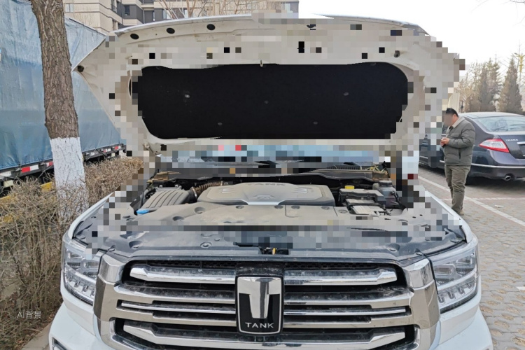 坦克 坦克500 2022 汽车图片 #22