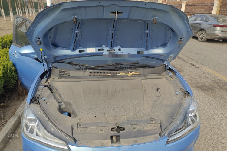 Neta V 2022 imagen de coche #22