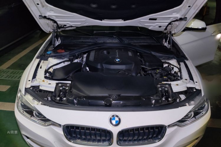 BMW 3 Series 2017 #22 BMW 3 Series 2017 car image #22