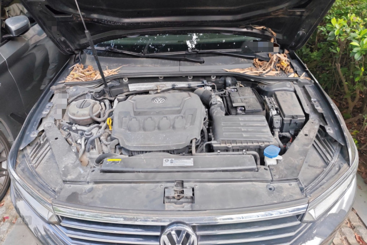 Volkswagen Magotan 2019 #22 Volkswagen Magotan 2019 car image #22