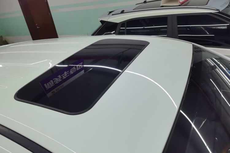 Showjet Pro 2021 car image #22