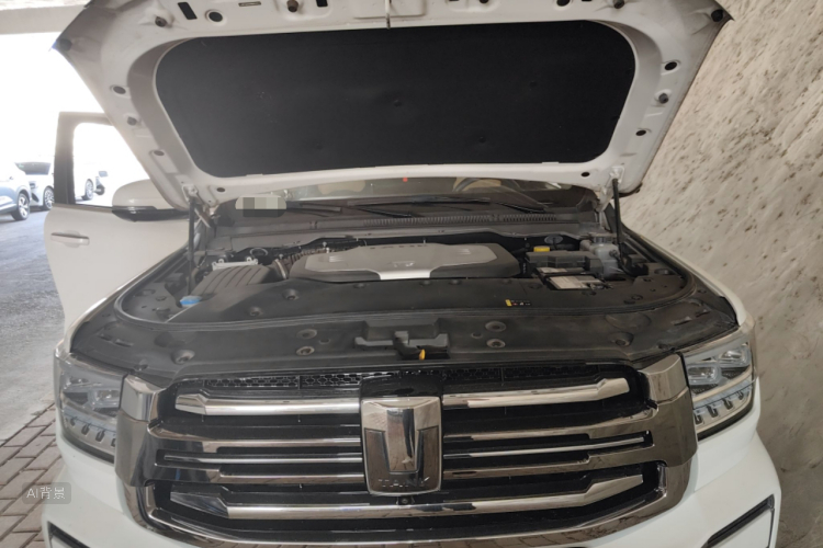 坦克 坦克500 2022 汽车图片 #22