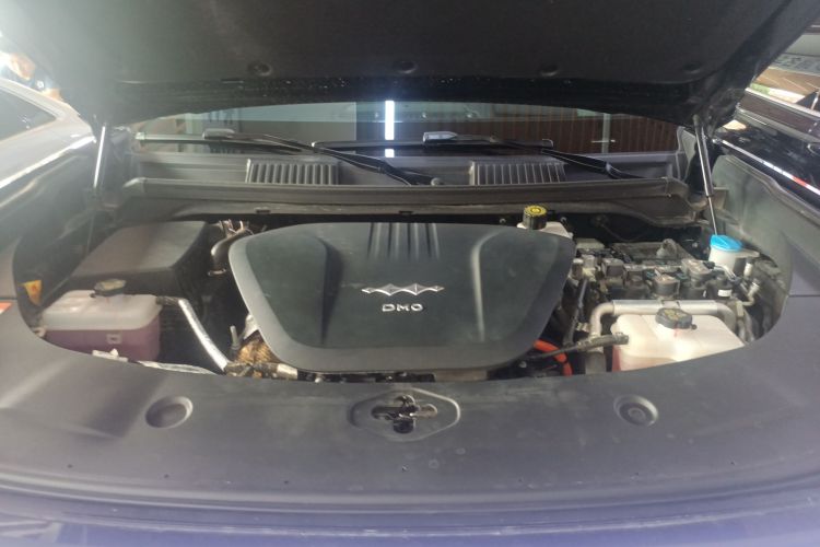 FangChengBao Leopard 8 2024 imagem de carro #22