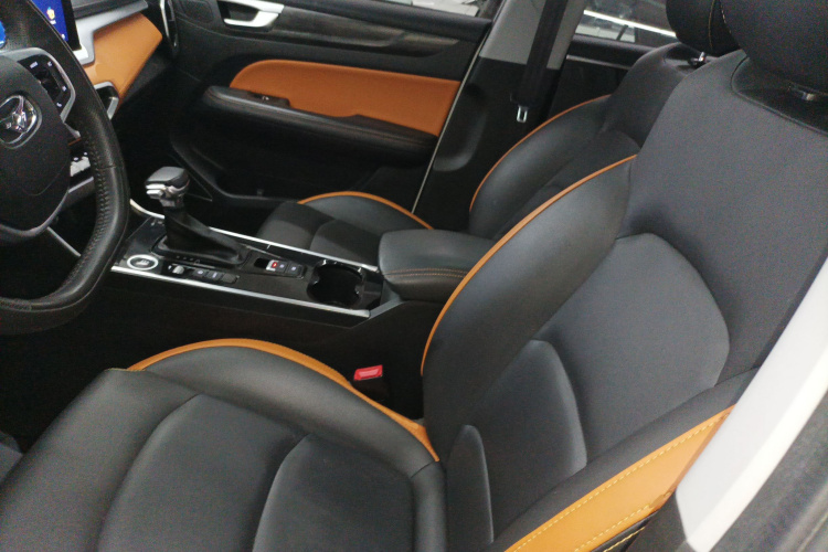 Showjet Pro 2021 car image #22