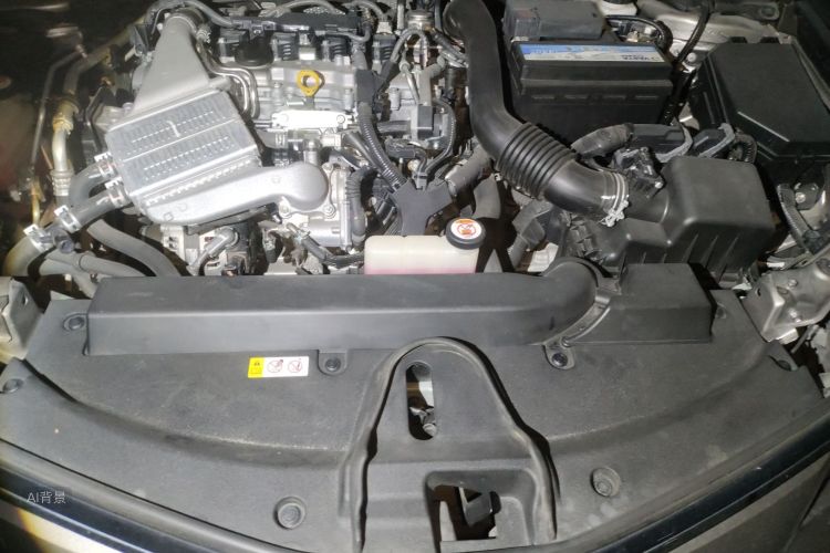 Corolla 2020 car image #22