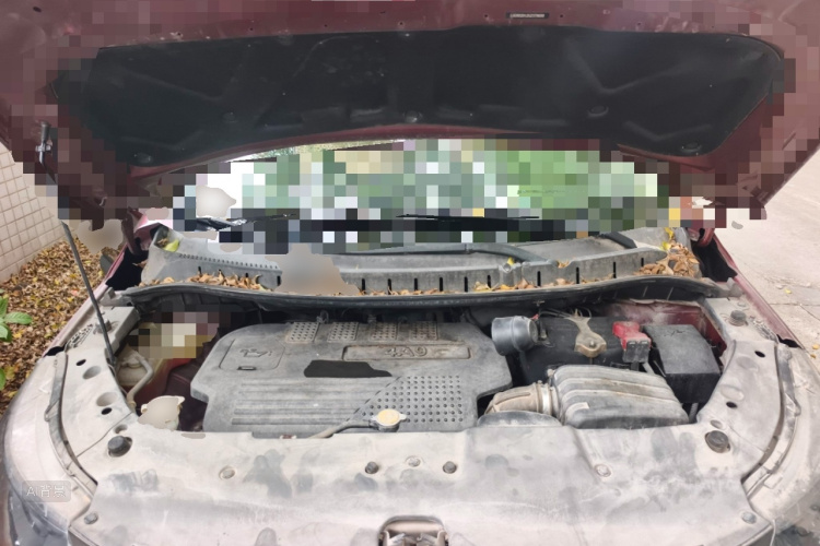 Forthing JOYEAR X5 2016 car image #22