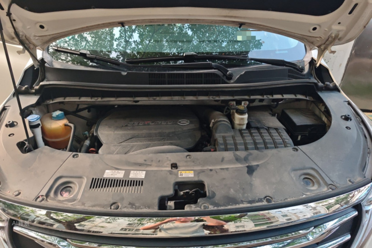 GAC Trumpchi M8 2020 car image #22