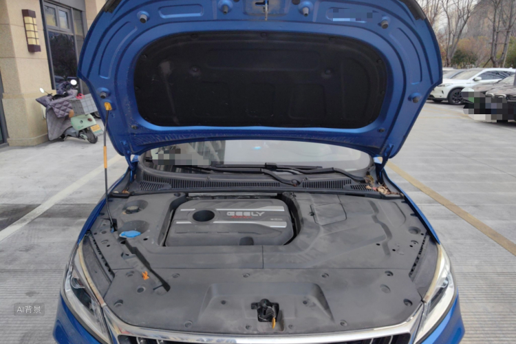 GEELY Binray 2019 #22 GEELY Binray 2019 immagine di auto #22