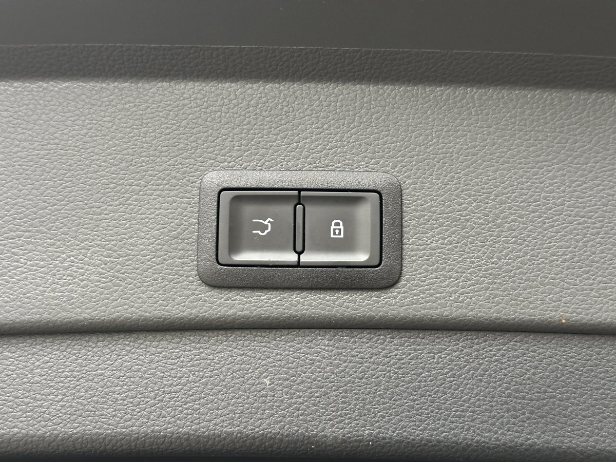 HongQi E-HS9 2022 #22 HongQi E-HS9 2022 car image #22