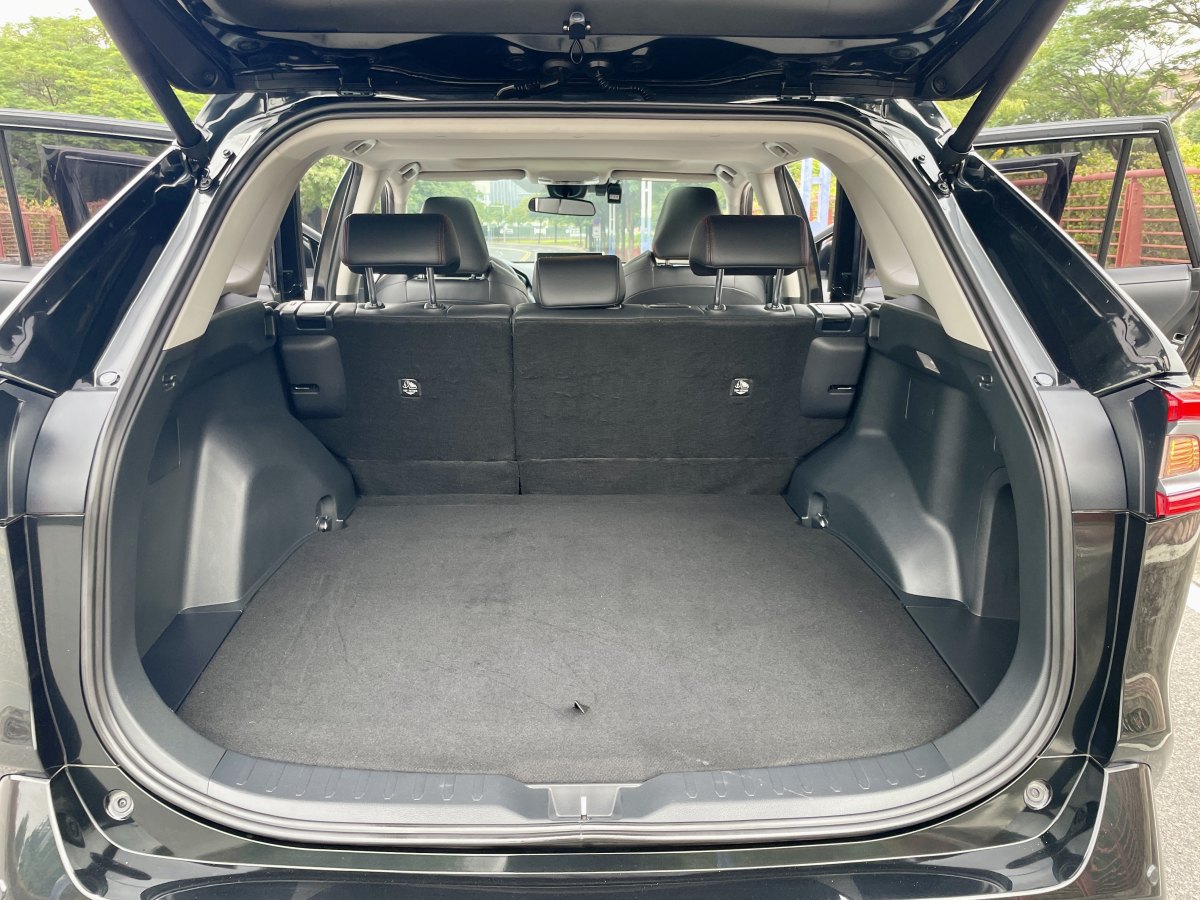 Toyota Wildlander New Energy 2021 immagine di auto #22