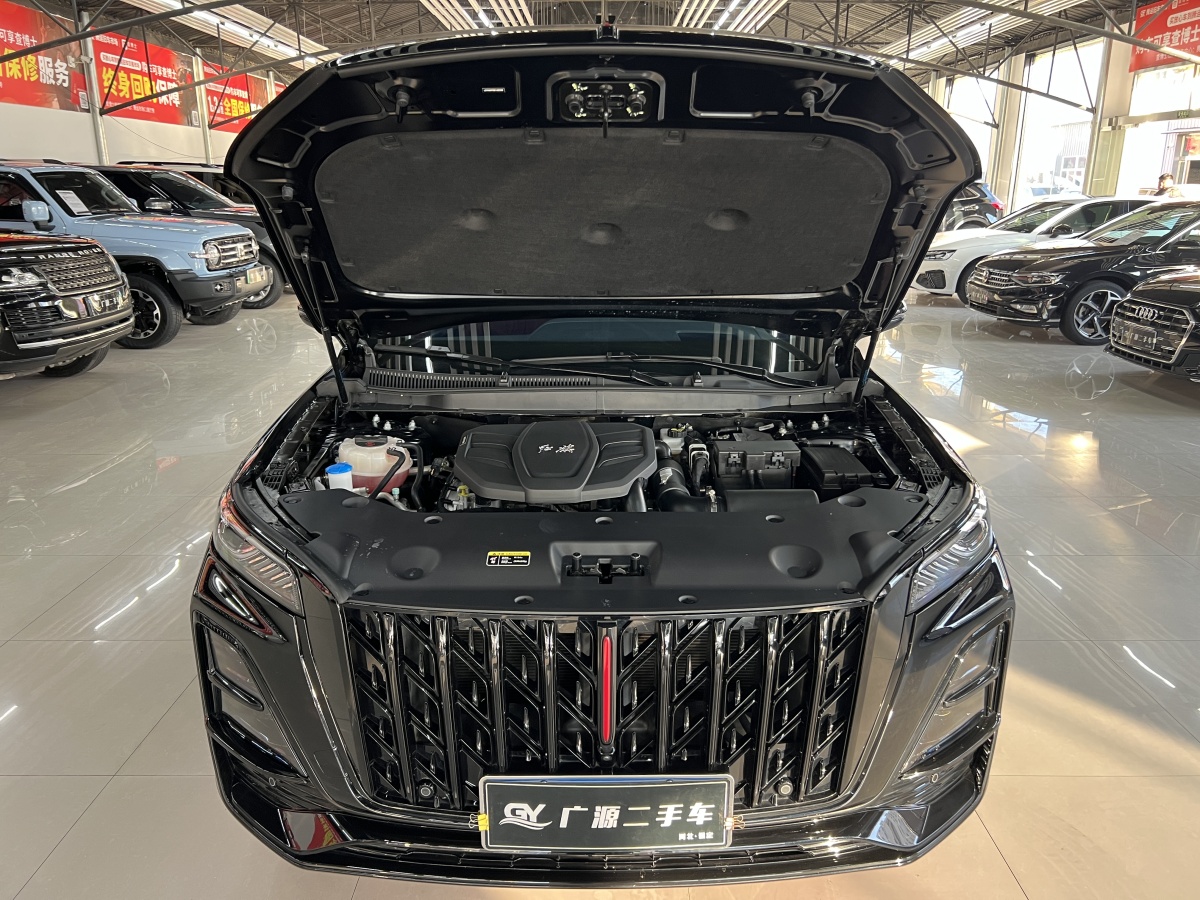 HongQi HS5 2024 #22 HongQi HS5 2024 car image #22
