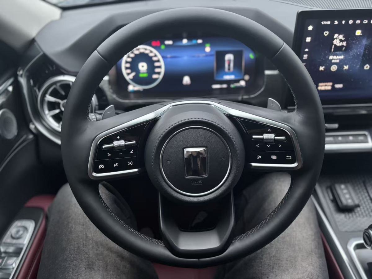 Tank 400 New Energy 2025 car image #22