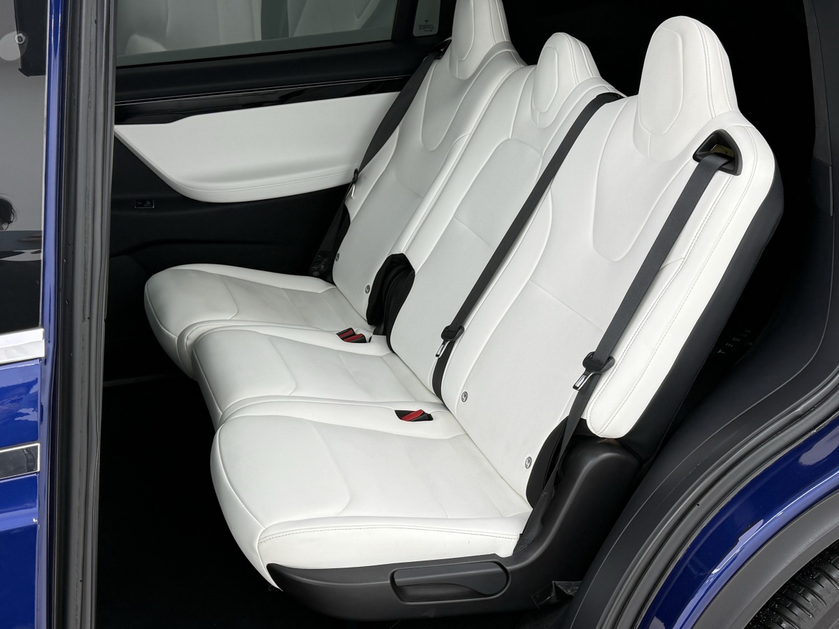 特斯拉 Model X 2019 汽车图片 #22