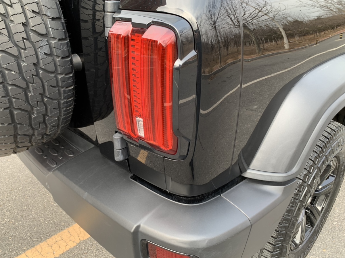 Tank 300 2021 car image #22