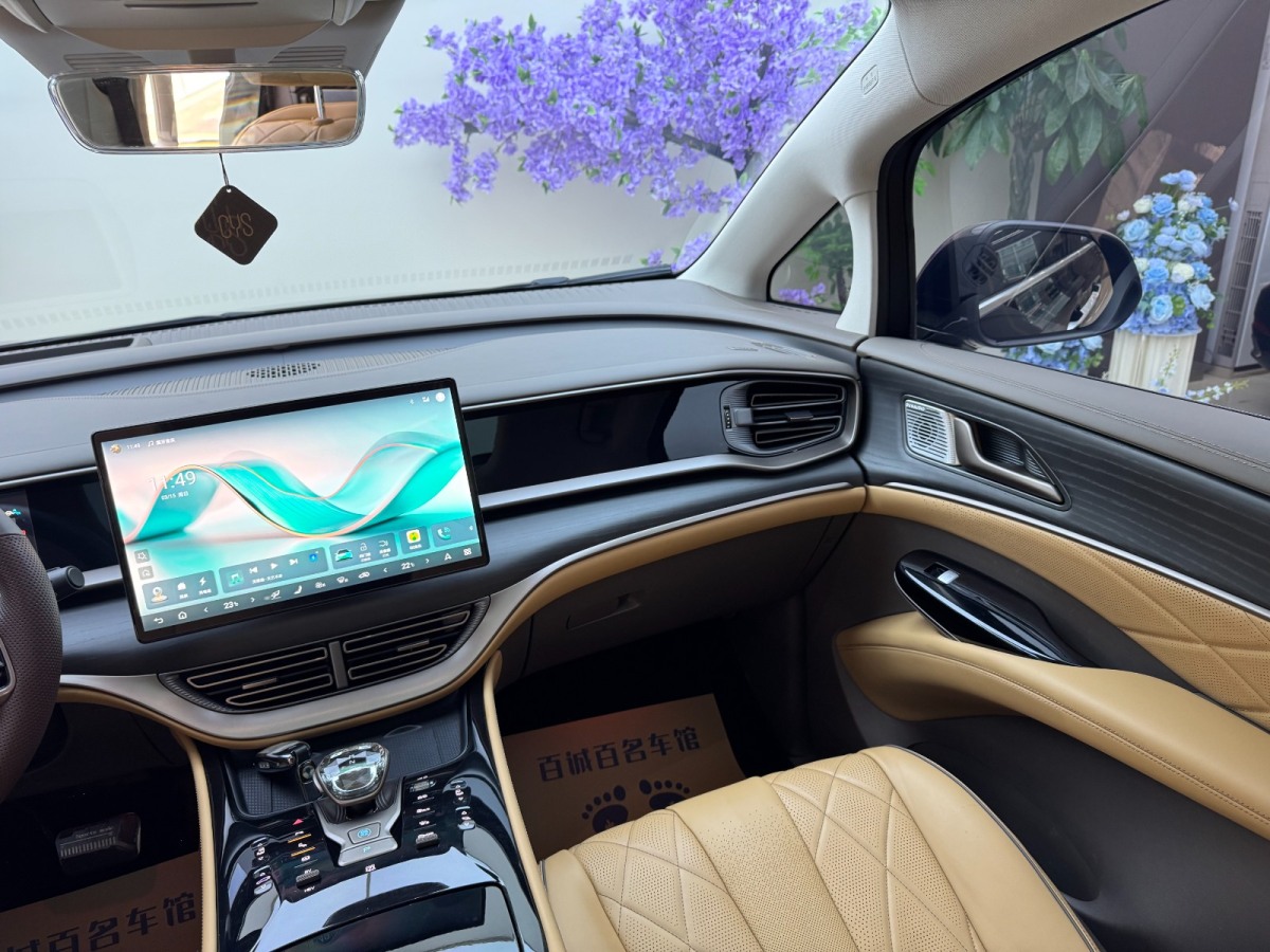 Denza D9 2023 image de voiture #22