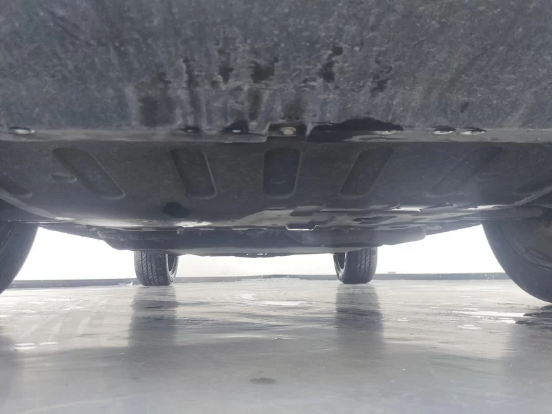 Exceed Yaoguang C-DM 2024 immagine di auto #22