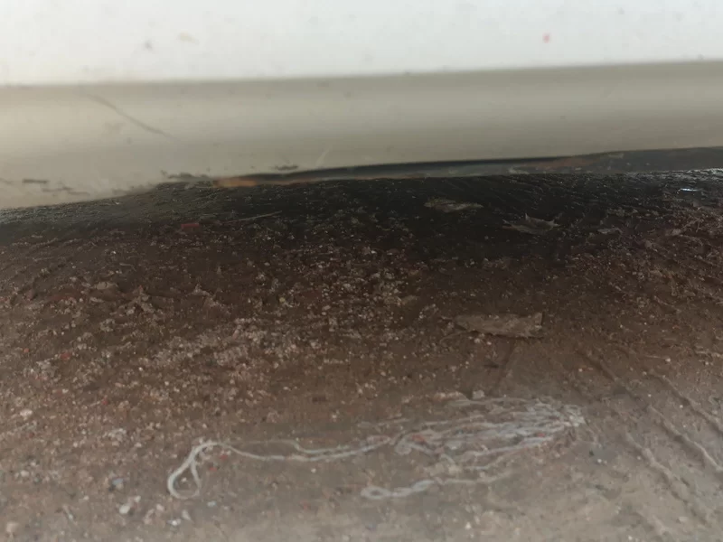 BYD Qin Pro 2019 car image #22