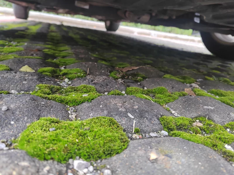 Kia Forte Koup 2015 imagen de coche #22