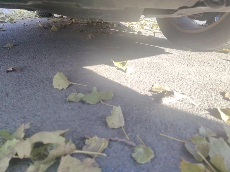 Haval H2 2015 car image #22