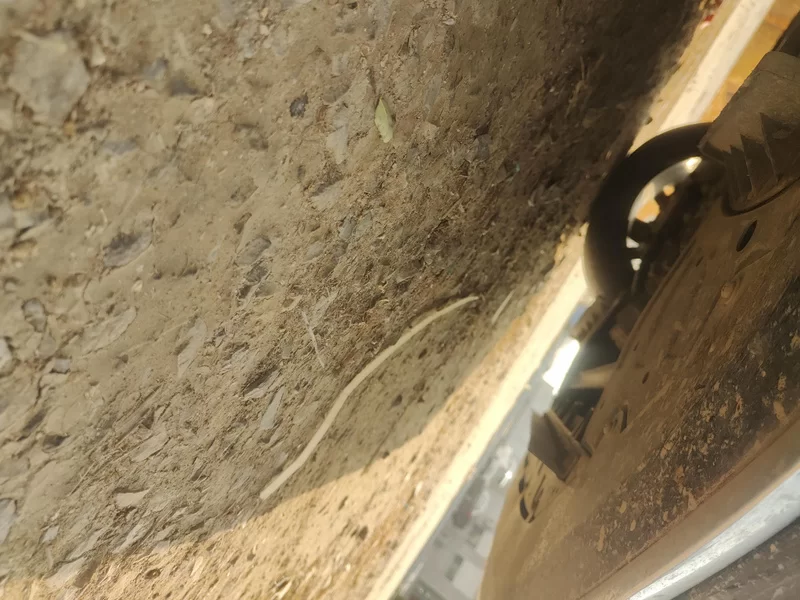 GAC Trumpchi E8 2024 #22 GAC Trumpchi E8 2024 car image #22