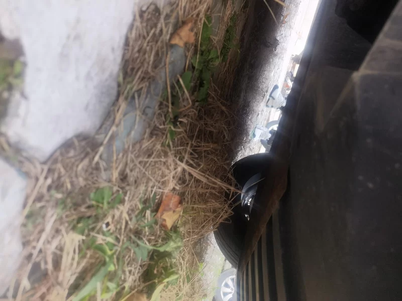 BYD Yuan New Energy 2019 immagine di auto #22