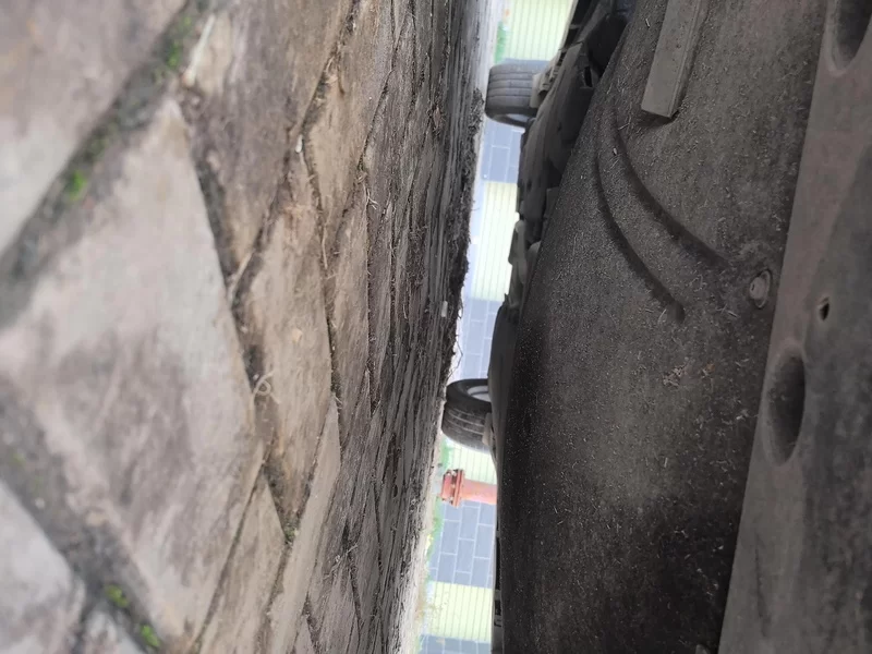 Ford Evos 2021 immagine di auto #22